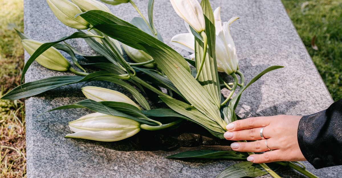 Key Queries Concerning Transportation and Logistics of the Deceased